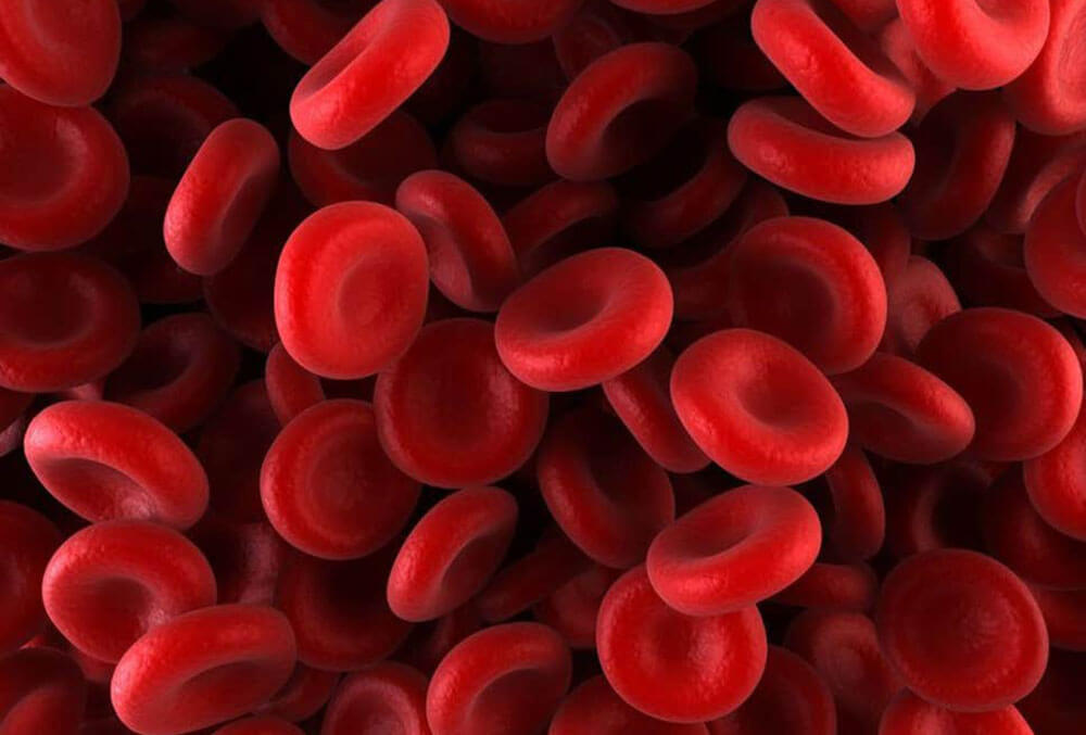 Symmers Hematology